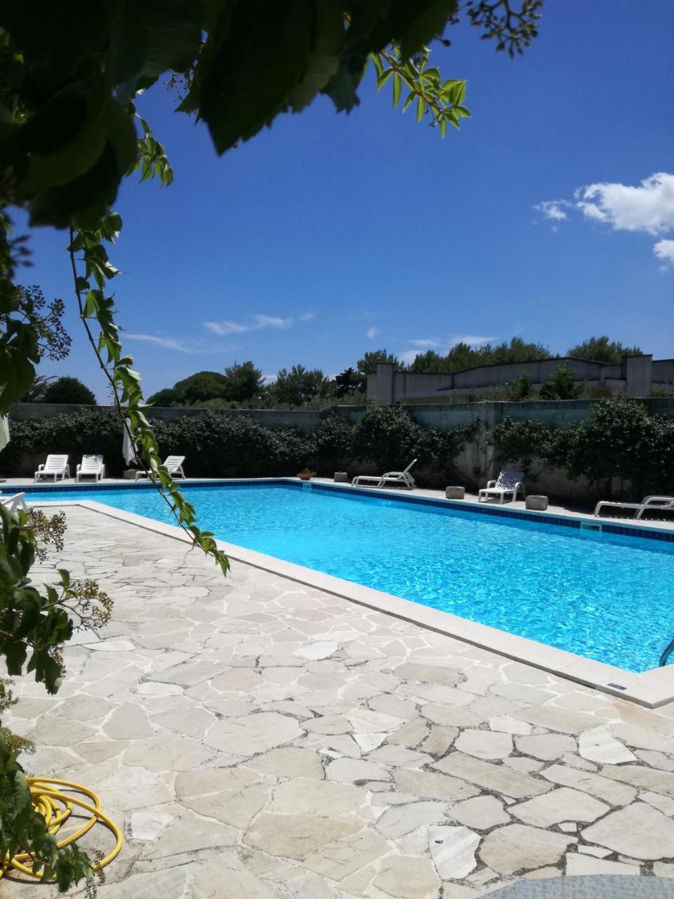 Masseria Gattamora photo 3