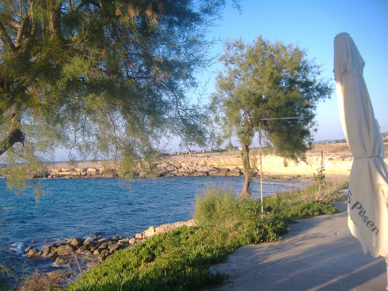 Theresa Hotel at Karpaz Peninsula photo 3