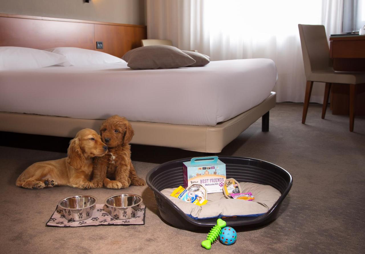 Best Western Hotel Turismo photo 3