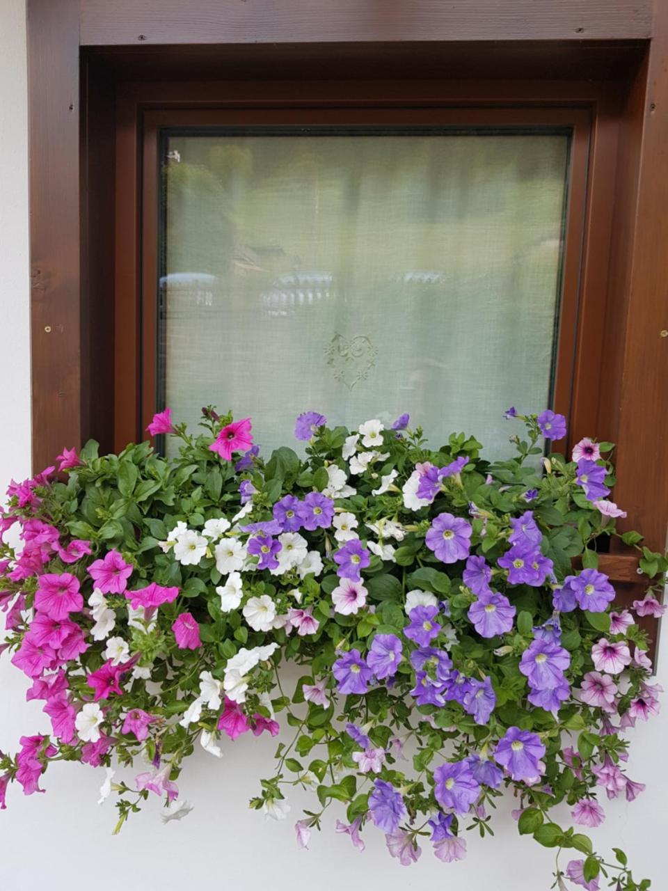 Debra Park Hotel photo 2