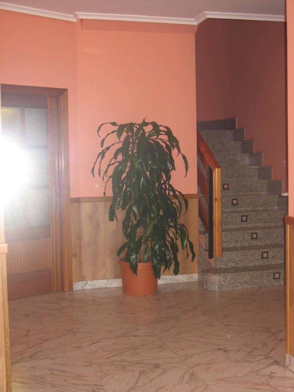 Hotel Reyes De León photo 3