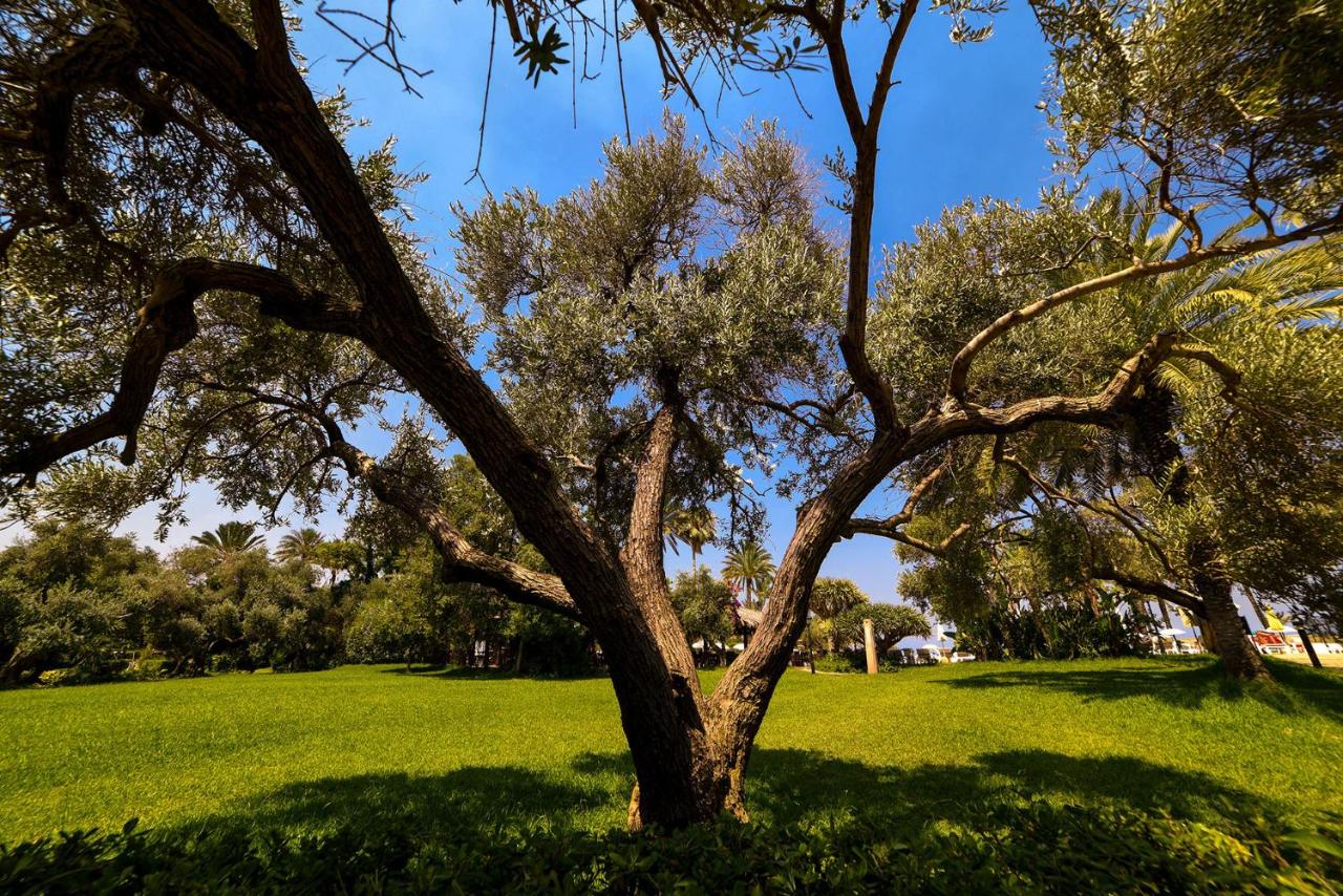 Portemilio Hotel & Resort photo 4