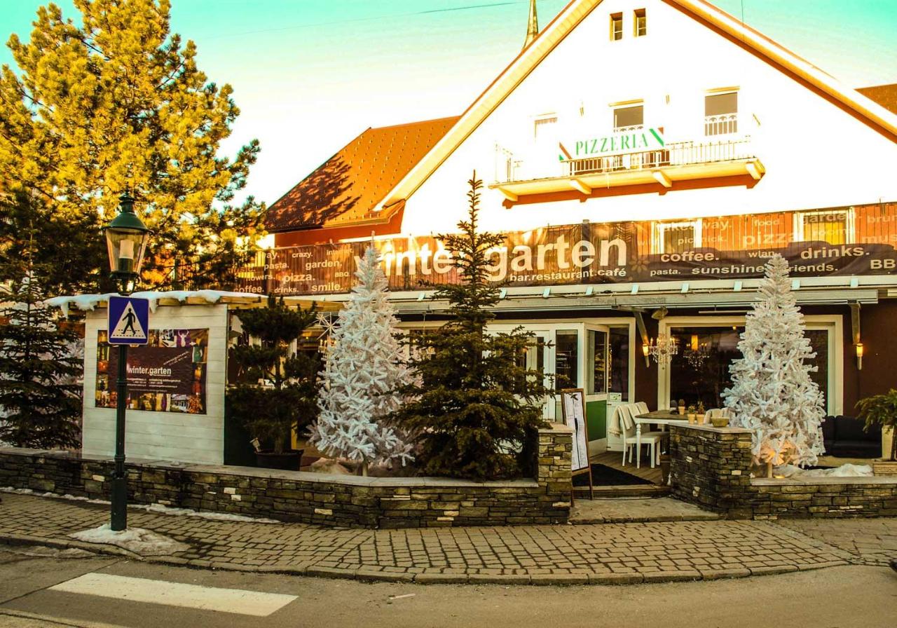 Hotel Wintergarten photo 2