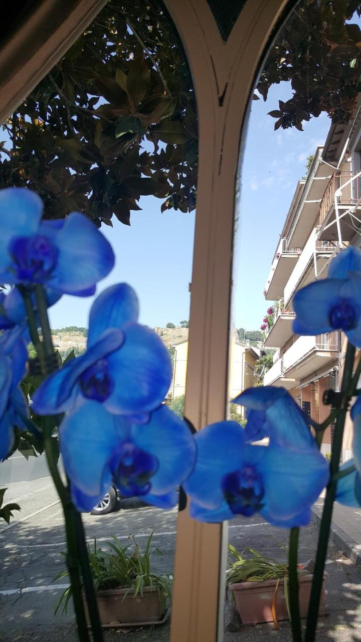 Hotel Umbria Orvieto-Nuova Gestione- photo 2