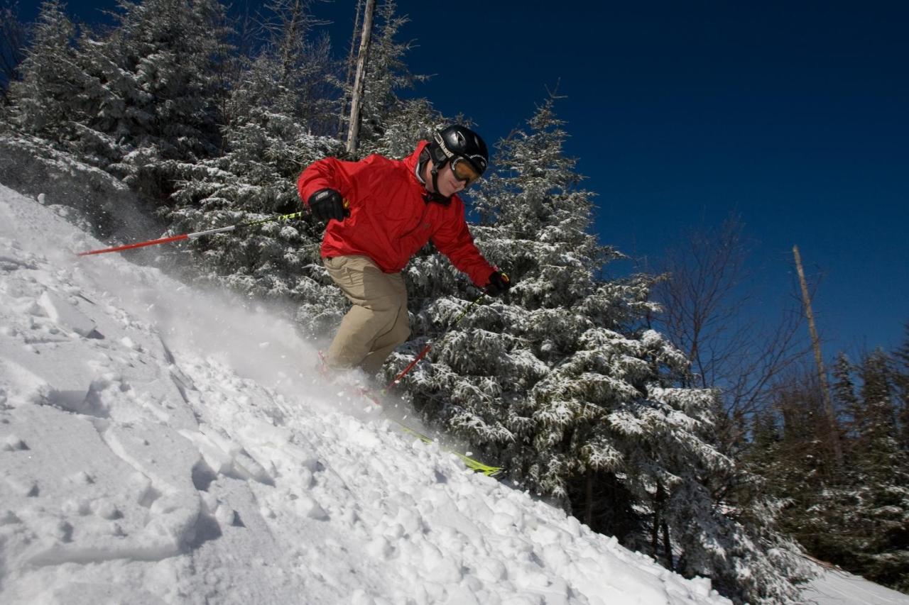 Seneca - Snowshoe photo 3
