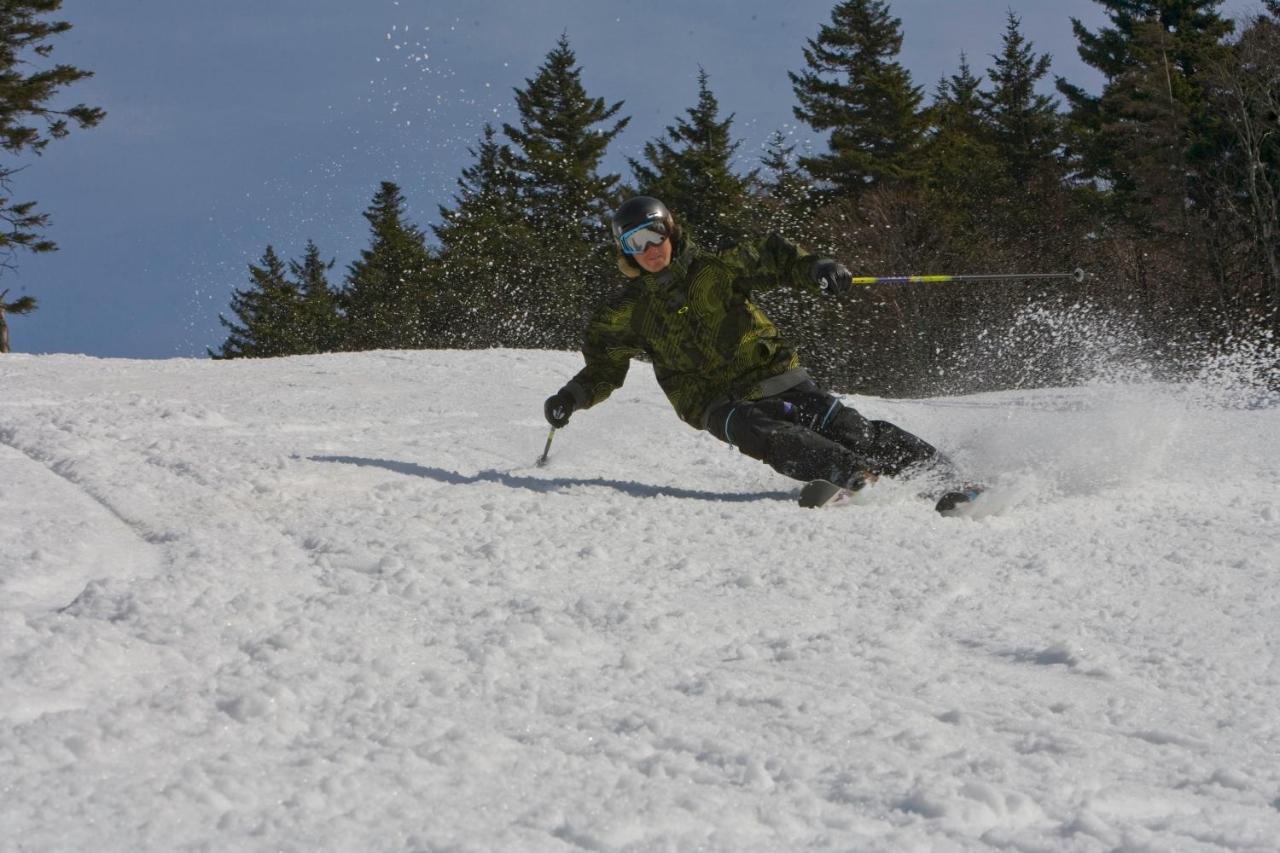Seneca - Snowshoe photo 2