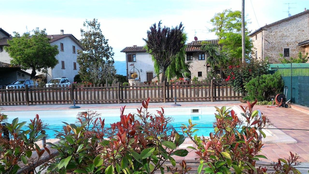 Podere Casenove photo 4