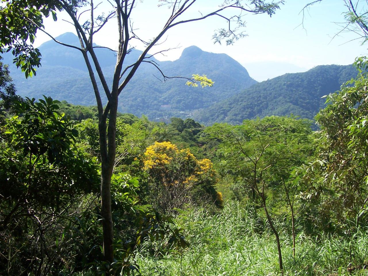 Casa São Conrado photo 3