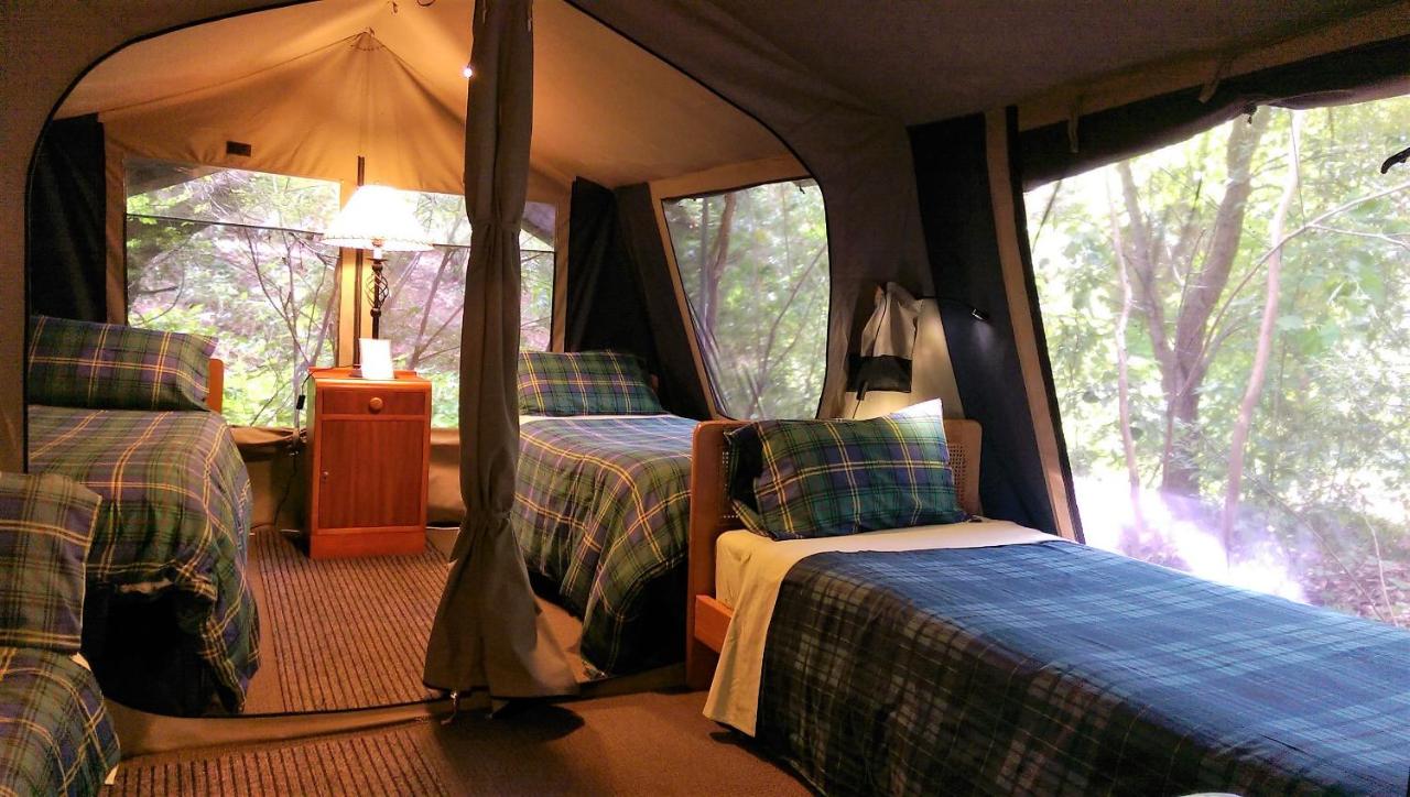 Black Cockatoo Lodge photo 3