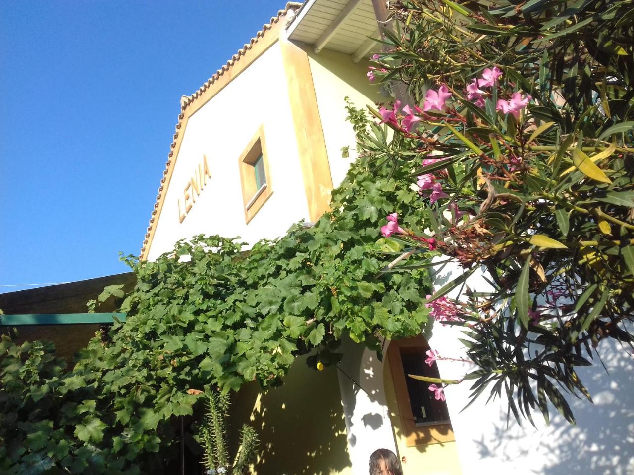 Lenia Studios - 6