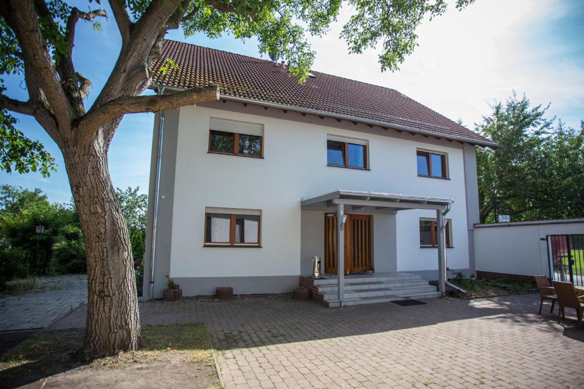 Foto - Hotel am Ring
