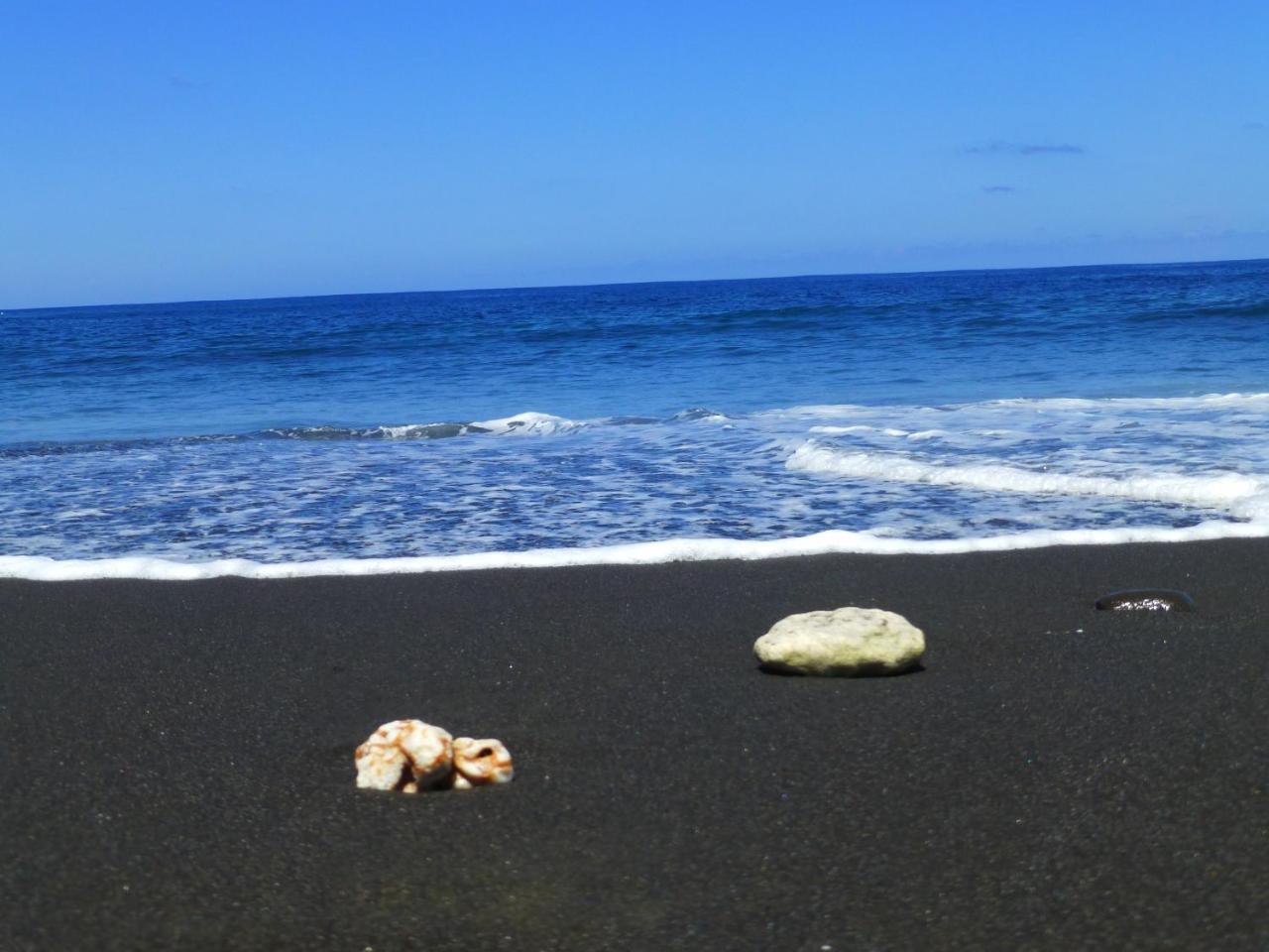 Le Dodo Salé photo 3