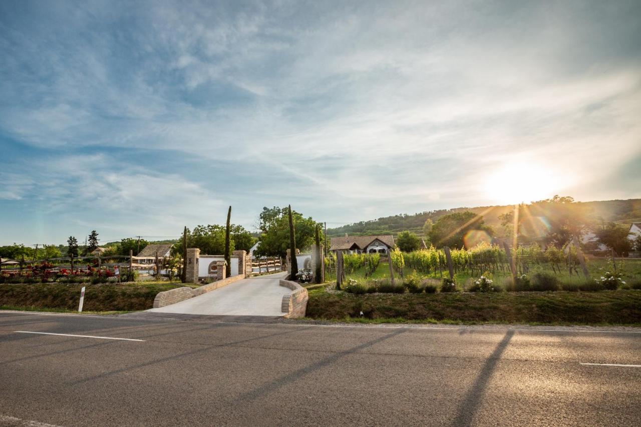 Provence Birtok photo 4
