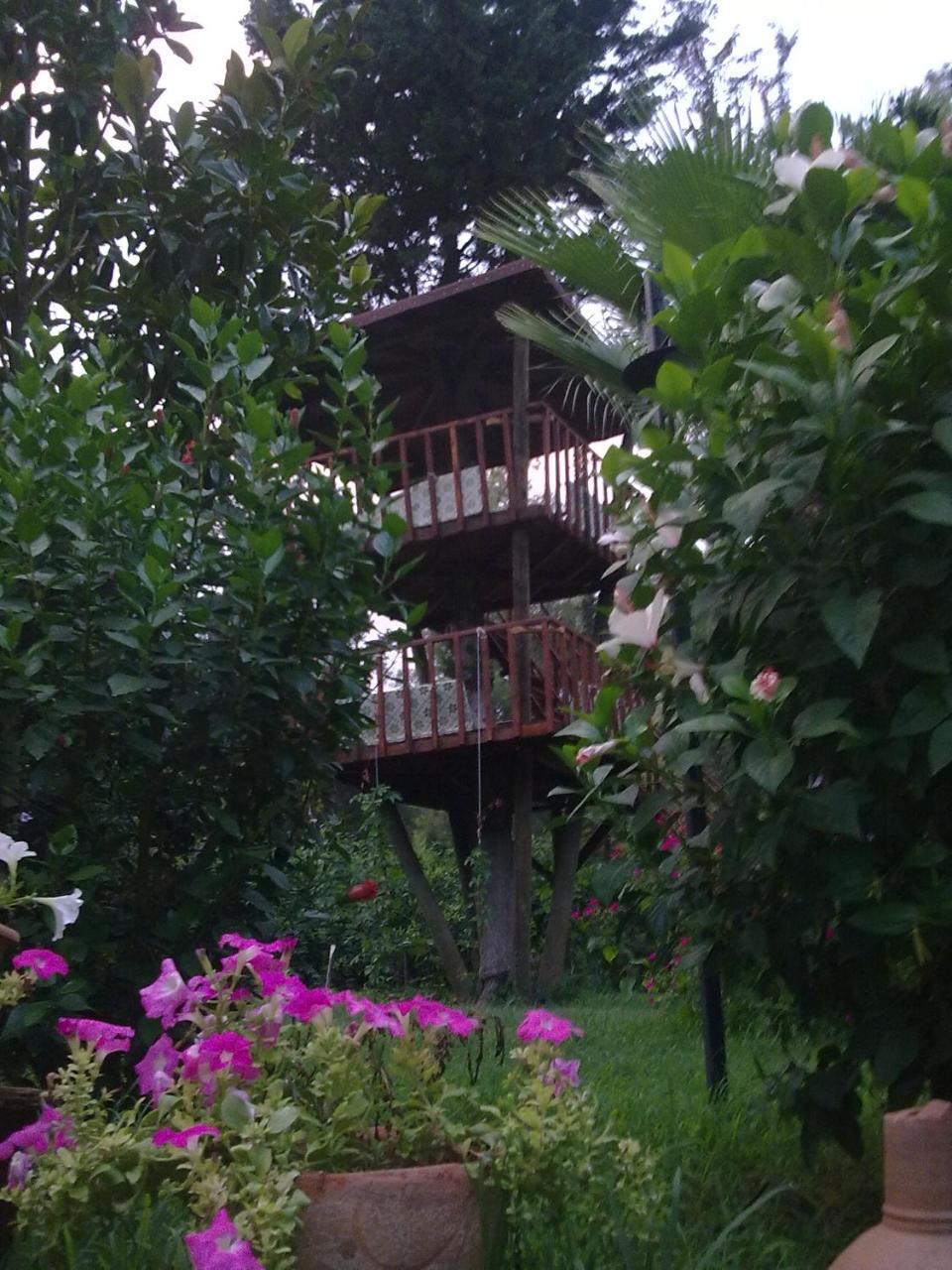 Kibala Hotel photo 3