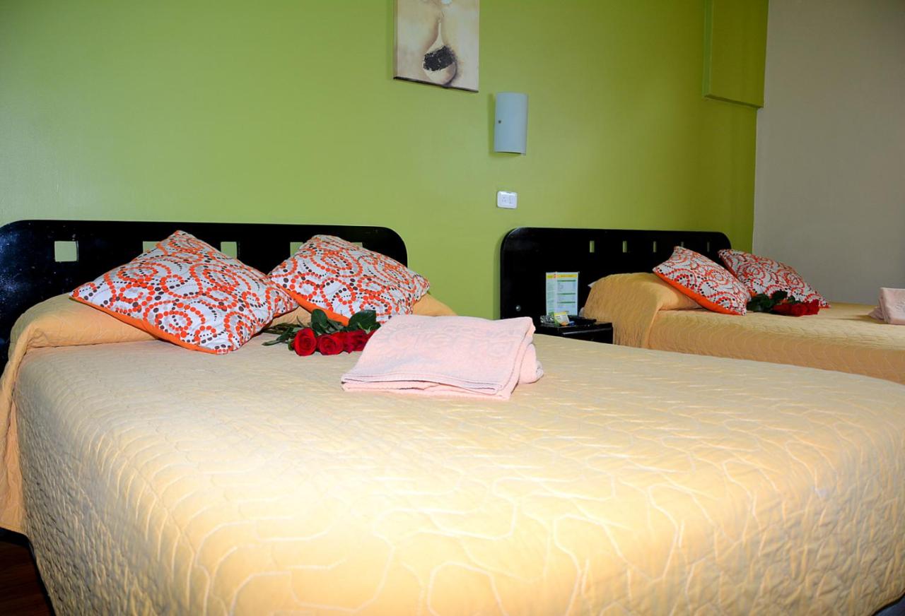 Photo - Hostal Terra 1 - ANDALUCÍA