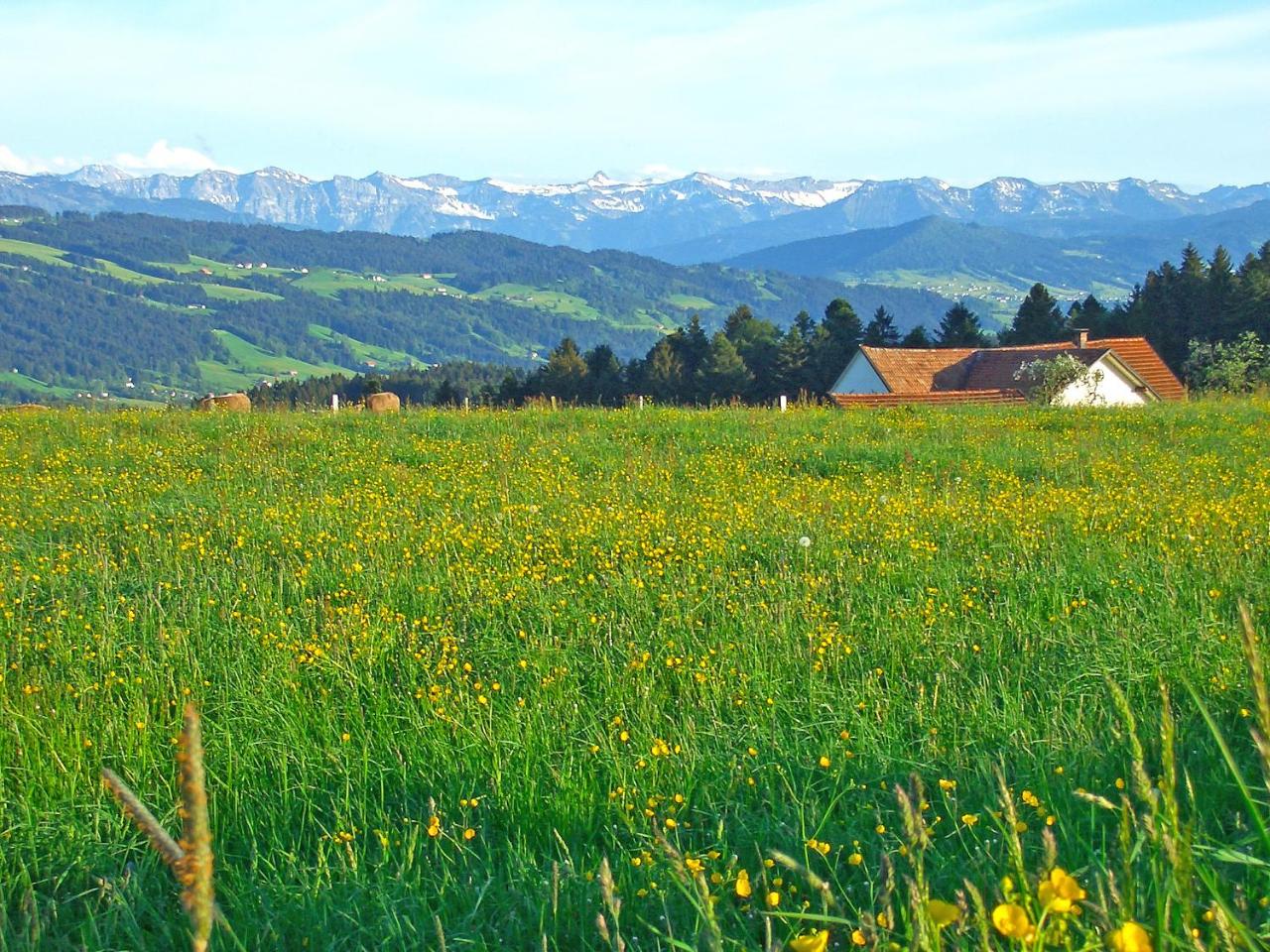 Hotel Allgäu Garni photo 2