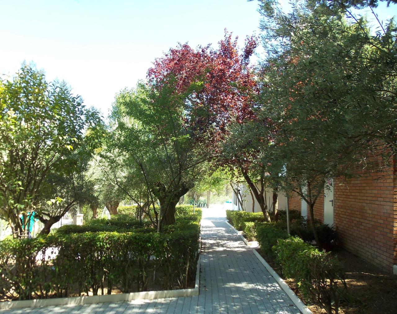 La Fuensanta Hostal-Rural photo 4