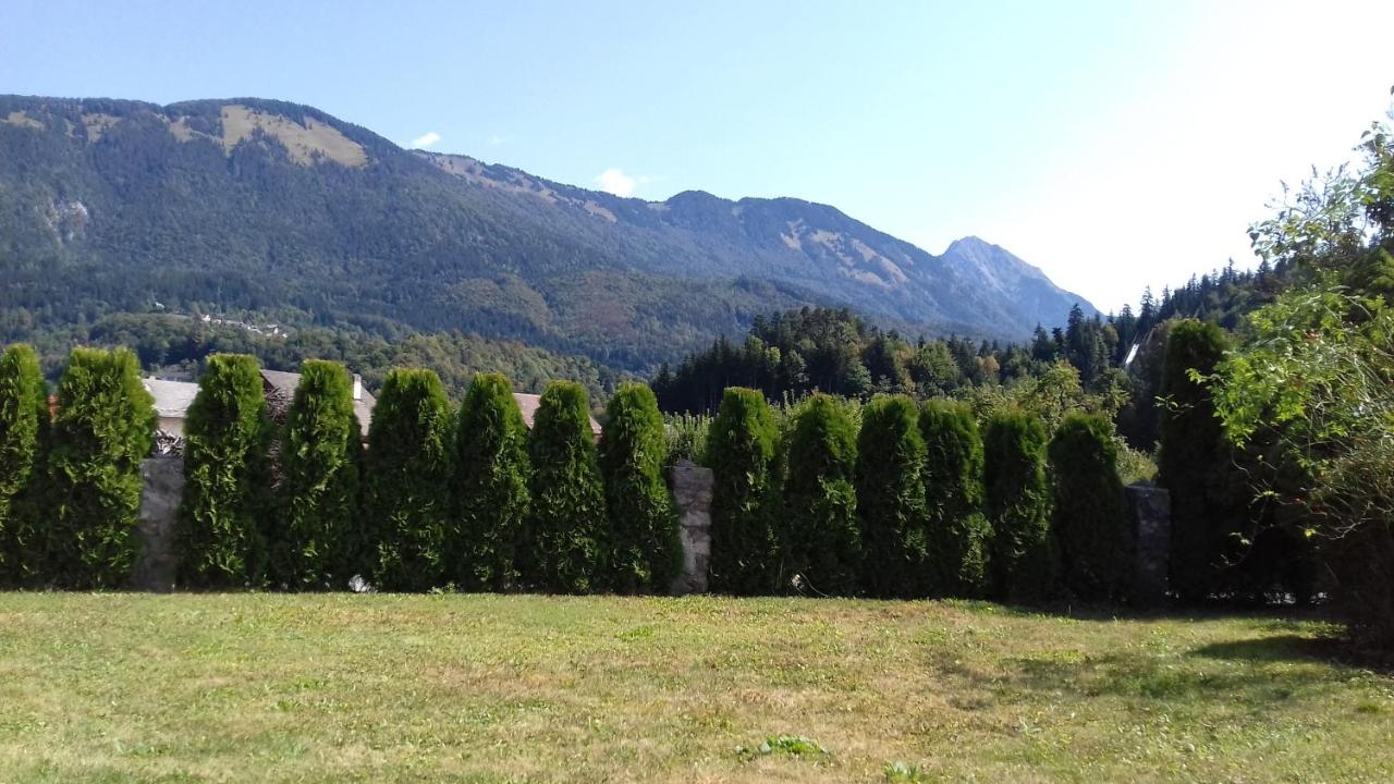 Apartmaji Mojca photo 4