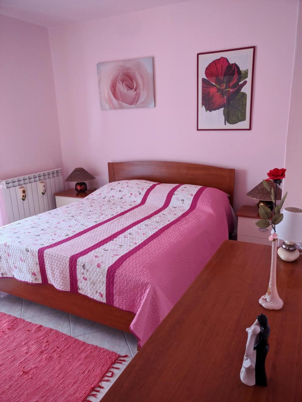 Anica Apartment - 2
