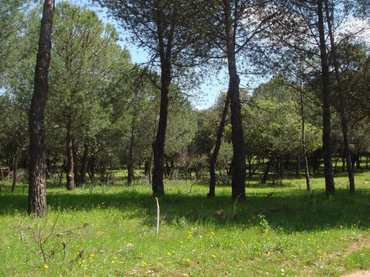 San José photo 4