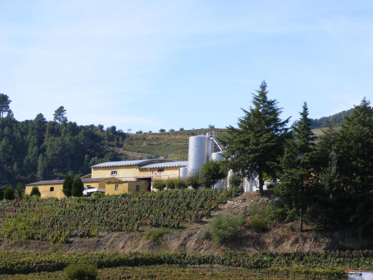 Solar Quinta da Portela - Douro photo 2