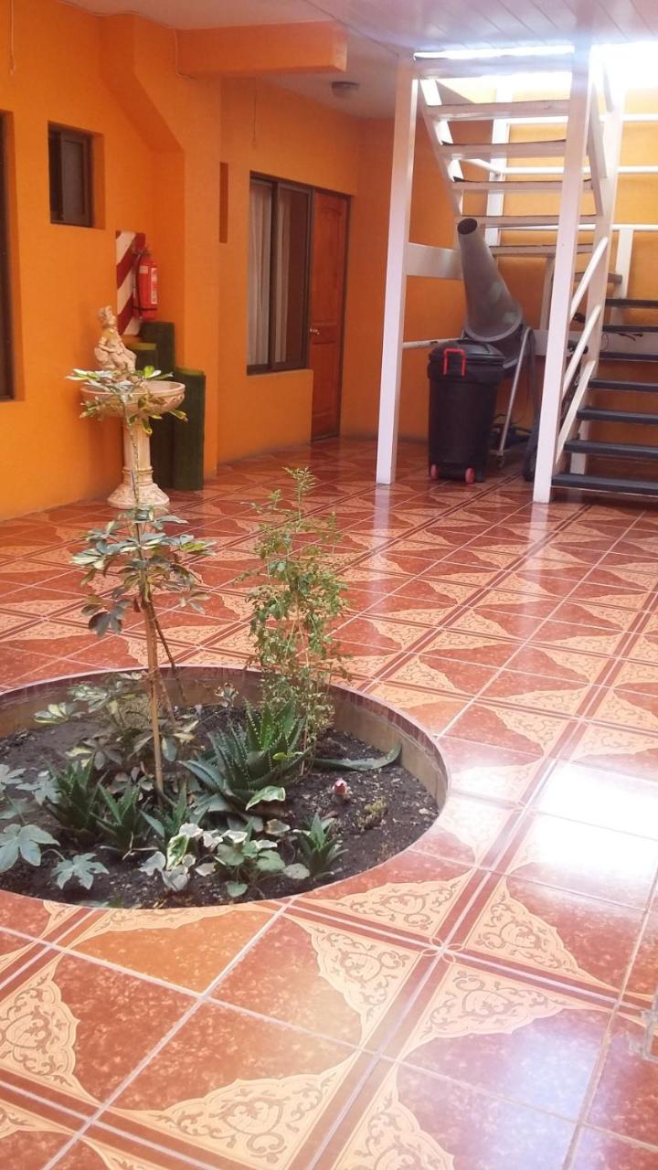 Hotel Don Alfredo photo 4