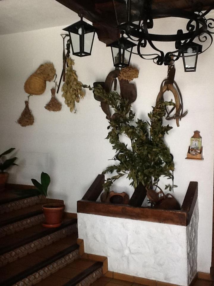 Hotel Posada San Antonio photo 4