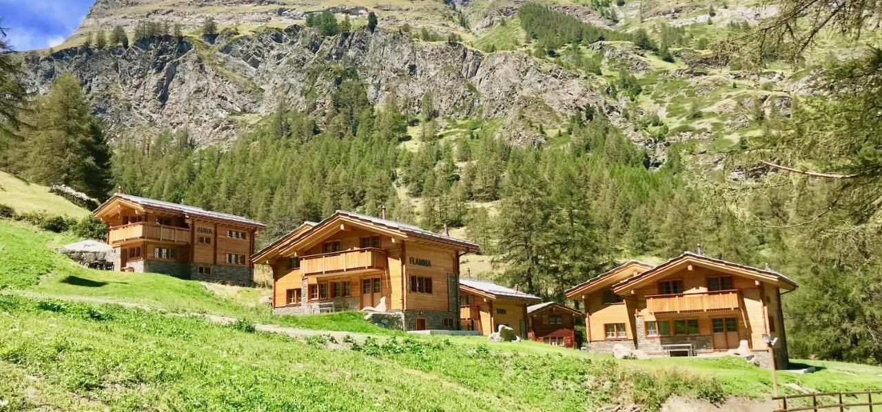Photo - Element Chalets Zermatt