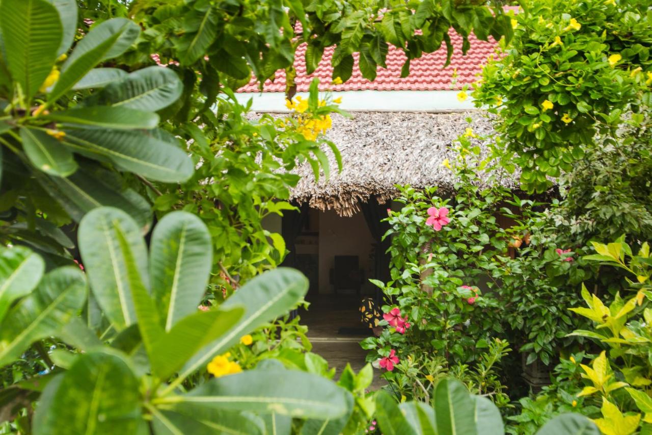 An Bang Purple Homestay