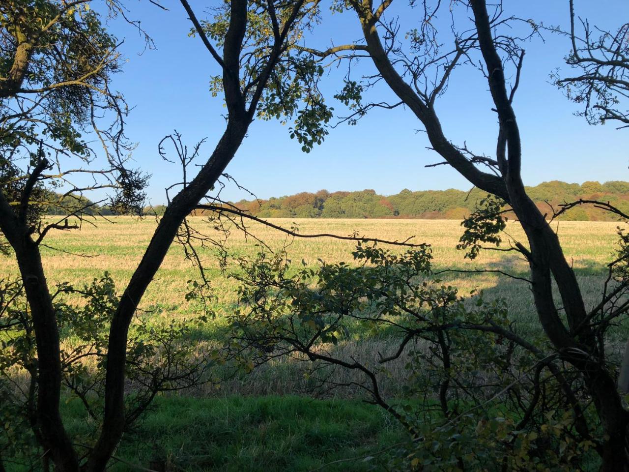 Old Hunters Lodge Whipsnade Limited - 5