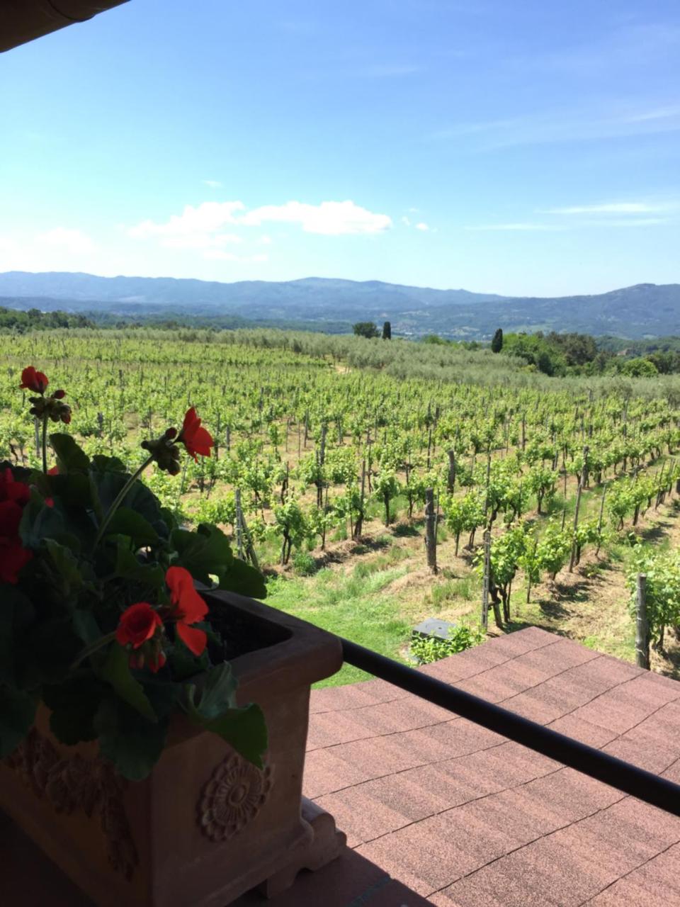 Agriturismo San Jacopo photo 4