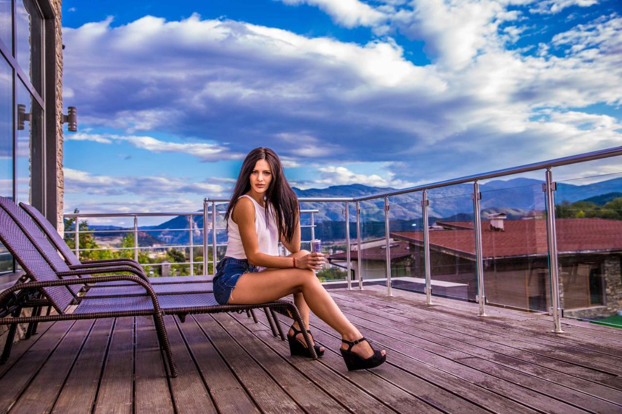 Villa Pirin - 4