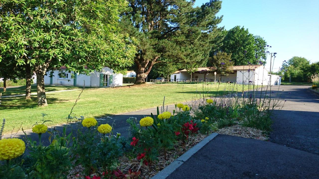 Village Vacances de Chantonnay photo 2