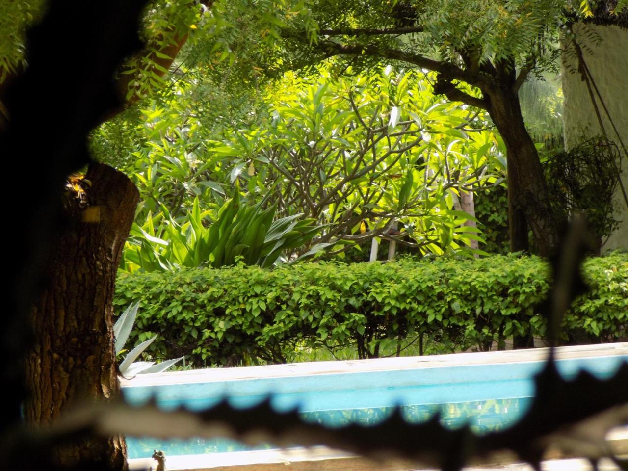 Eco Villas Watamu photo 4