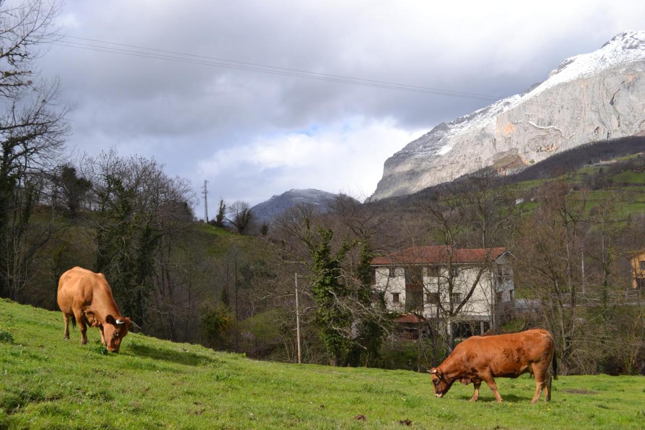 Alesga Hotel Rural - Valles del Oso -Asturias photo 4