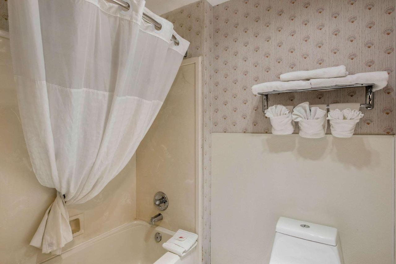 Comfort Inn Mount Shasta Area photo 3