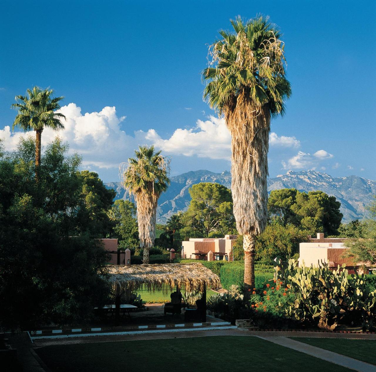 Arizona Inn - 2