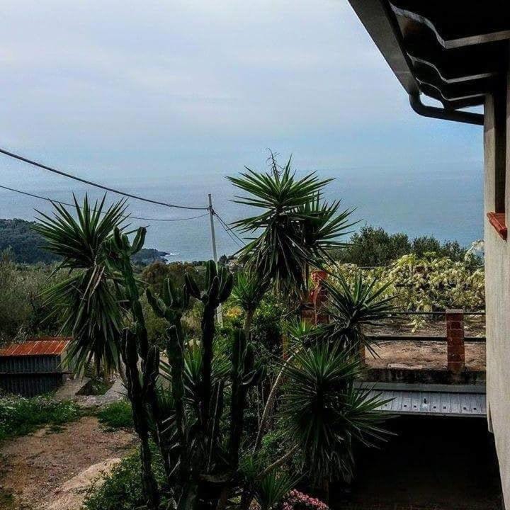 B&B Le Anthos photo 4