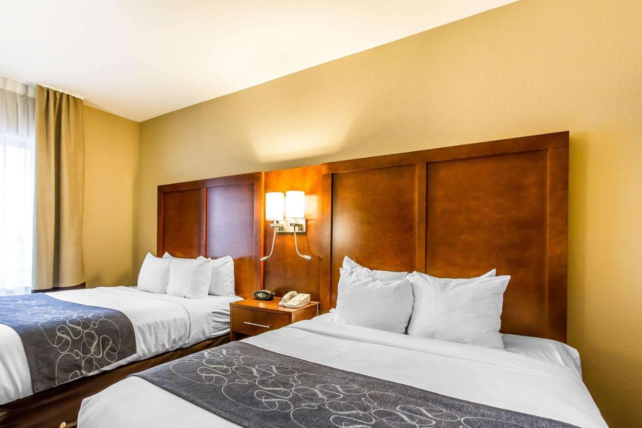 Comfort Suites Mattoon East photo 4
