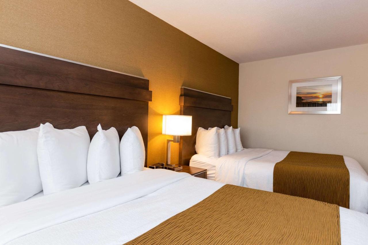 Quality Inn & Suites photo 4