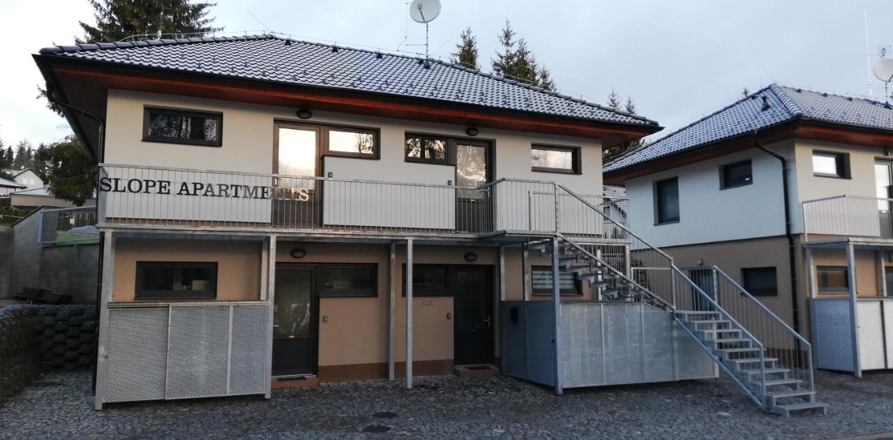 Slope Apartments Lipno - 3
