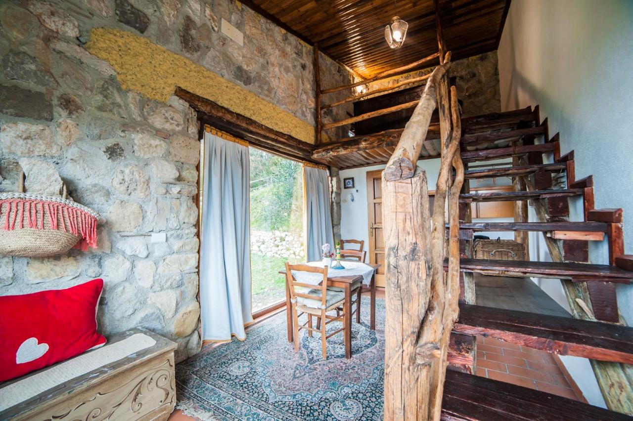 Villa de Luccheri - 5