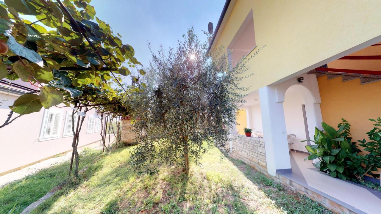 Apartments Goga - 5