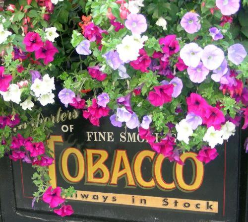 O'Neills Victorian Pub & Townhouse photo 4