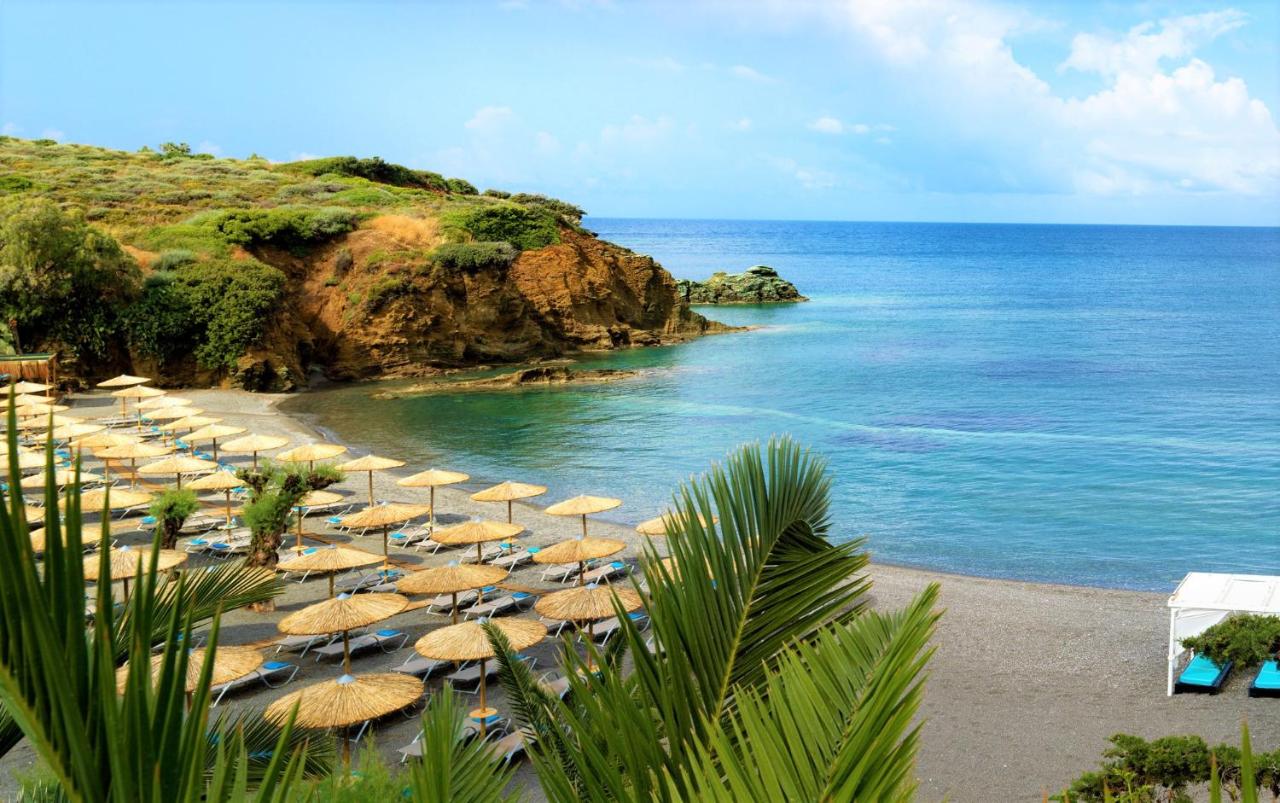 Out Of The Blue Resort & Spa - 4