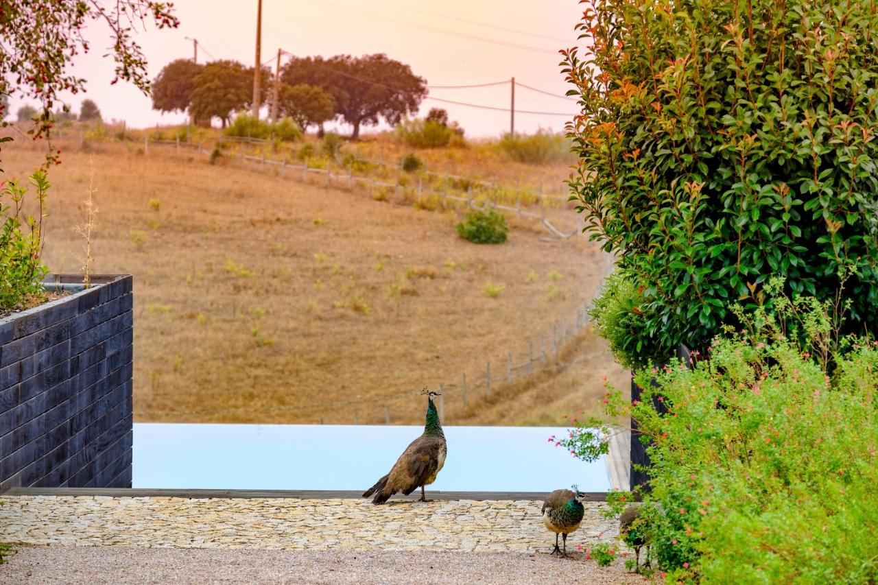 Herdade da Cortesia Hotel photo 2