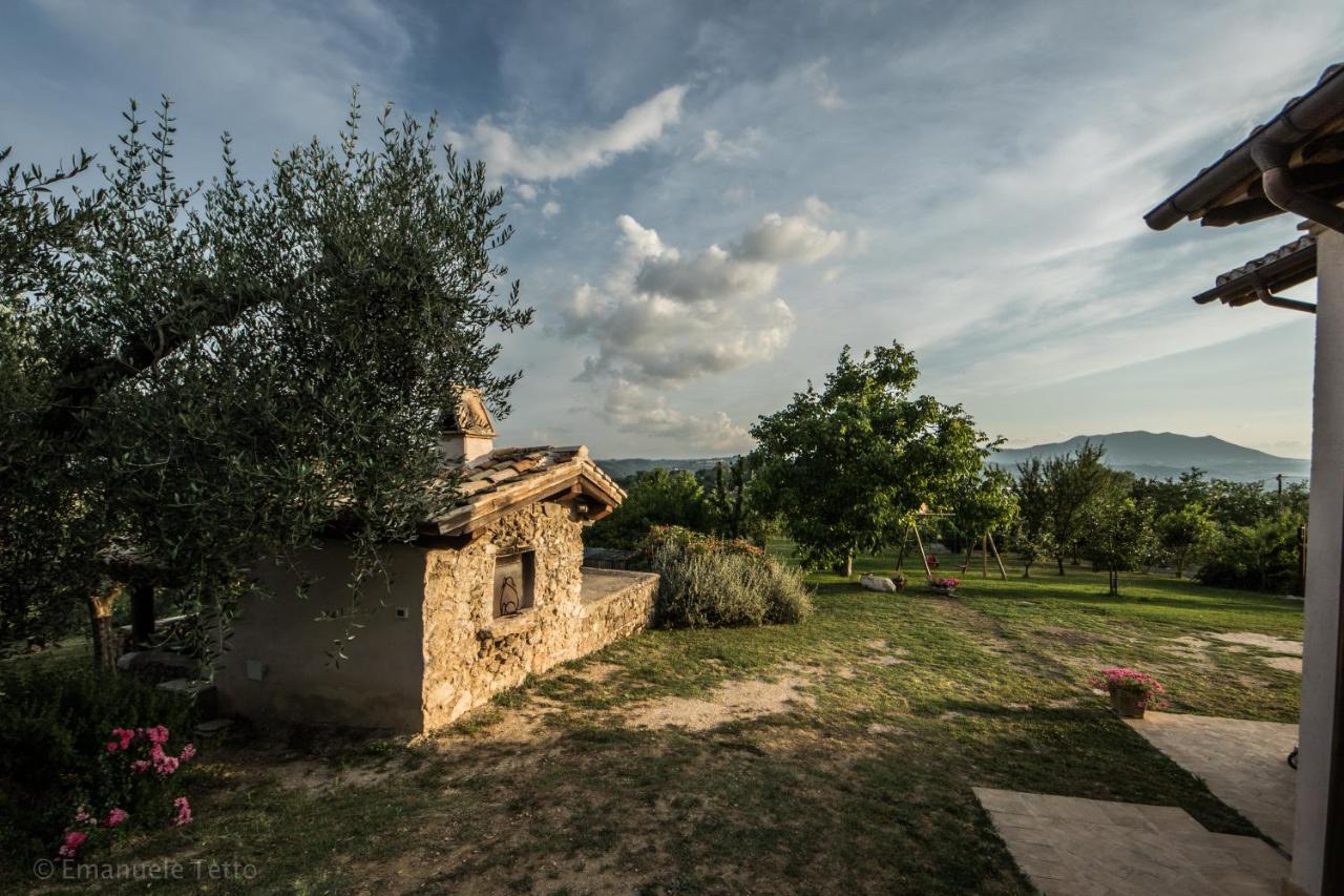 La Collina Degli Ulivi photo 2