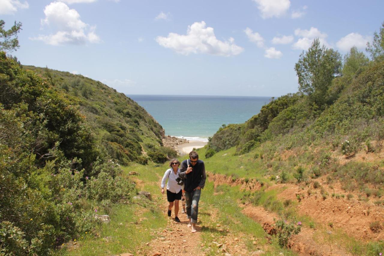 Foto - Praia Do Burgau   Turismo De Natureza