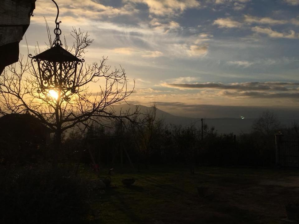 La Collina Degli Ulivi