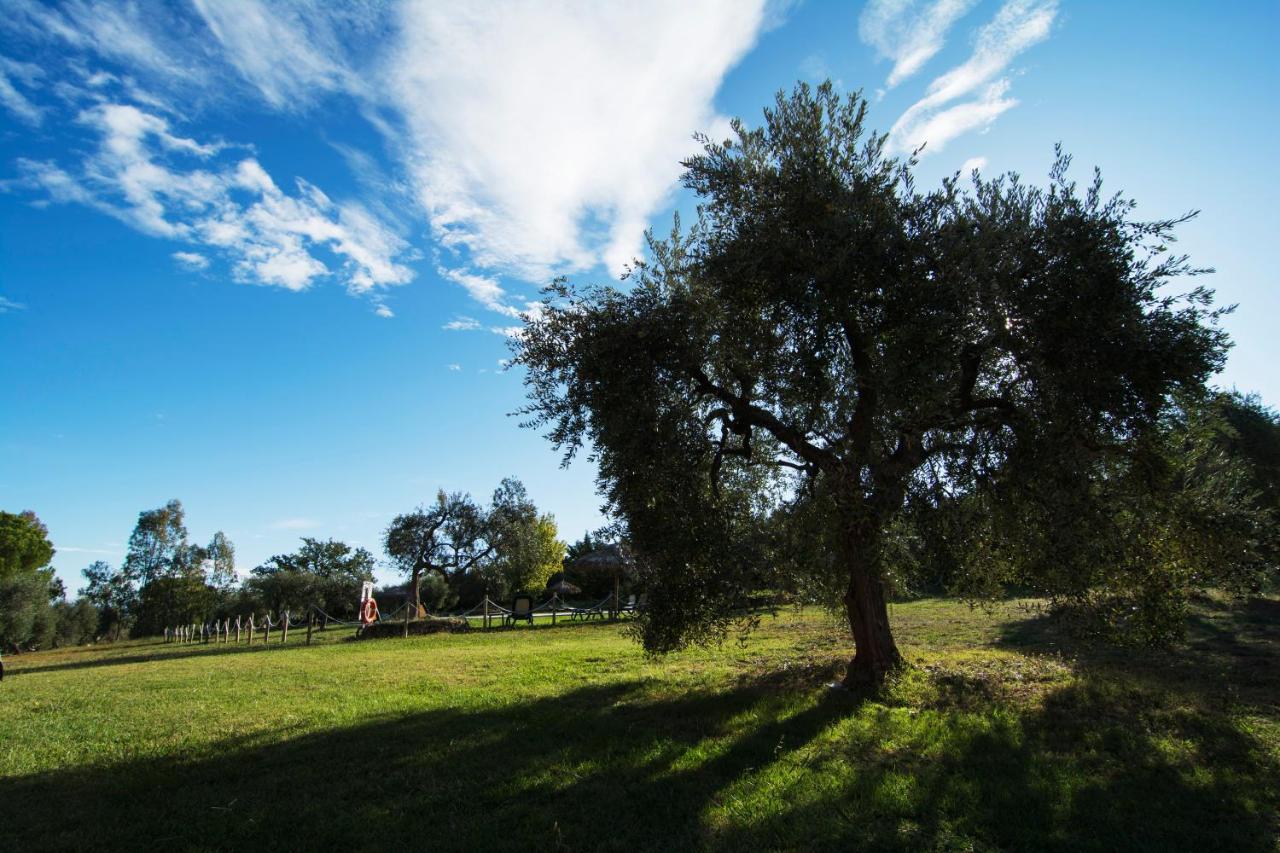 Tenuta Col di Sasso photo 3